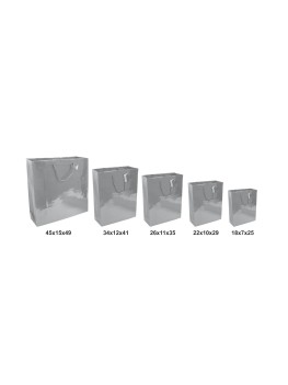Paper bags wih glossy lamination